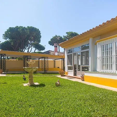 Lovely In Chiclana De La Fronter