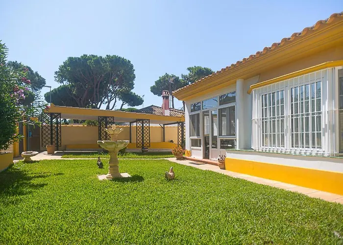 Lovely In Chiclana De La Fronter