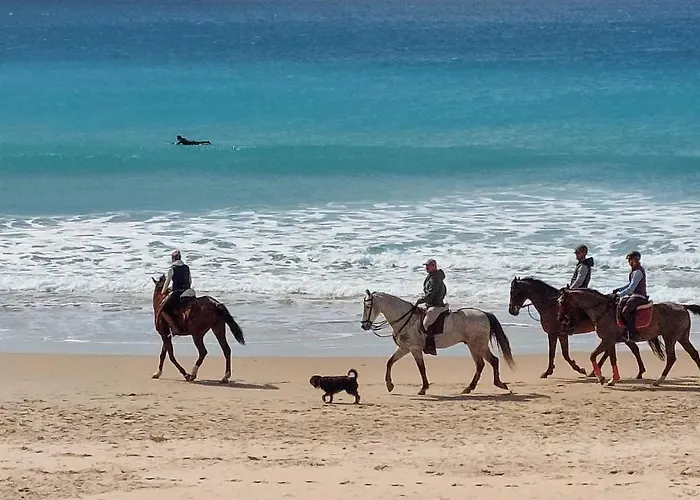 بيت للعطل Lovely In Chiclana De La Fronter كاديز